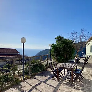 L'ulivo E Il Mare Moneglia